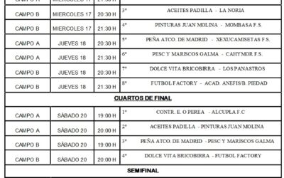 LIGA LOCAL DE FÚTBOL 7 2015 SEMIFINALES